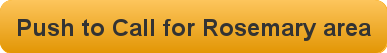call 850-829-4001 shuttle taxi rosemary beach to/from ecp, panama city beach, Inlet Beach, panama city beach airport